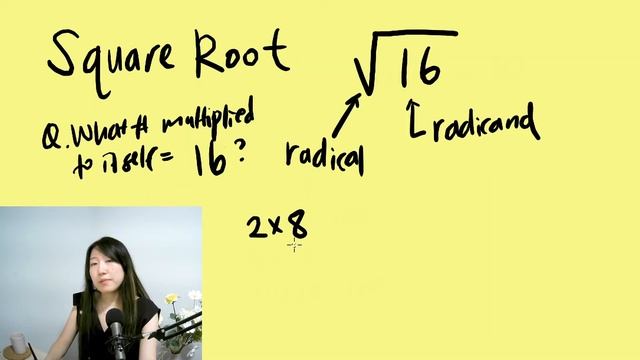 What's a Square Root? ⬜+🌳?? смотреть онлайн