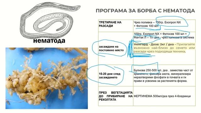 Растителна защита, торене. Борба при нематода, вируси, Болести и насекоми, Здравето на почвата. смотреть онлайн