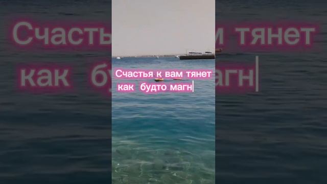 25 июля 2024 Египет #море #summer #отдых #лето #beach #summervibes #природа смотреть онлайн
