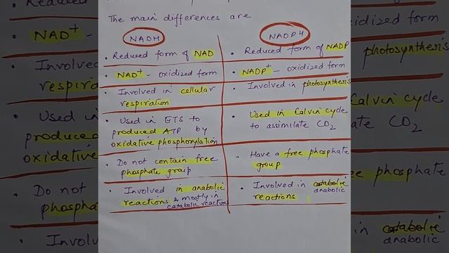 The powerhouses of metabolism: NADH & NADPH #nadh #coenzyme смотреть онлайн