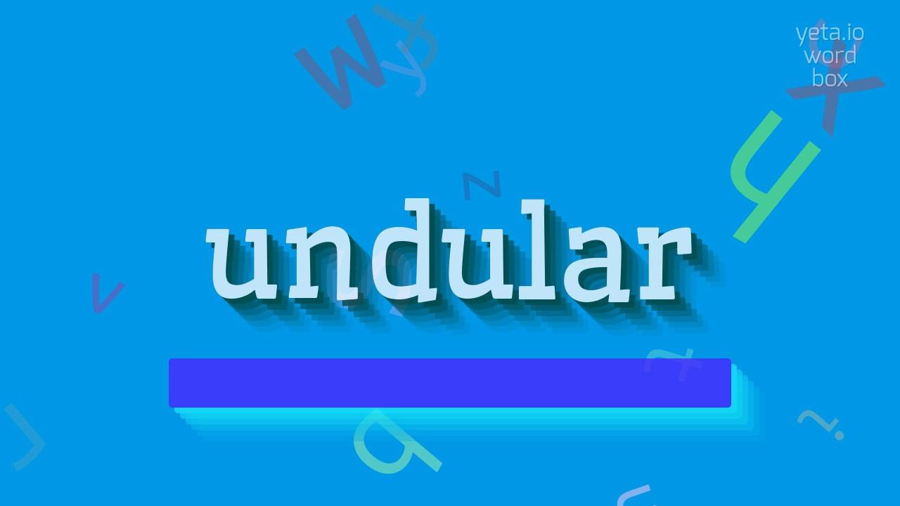 UNDULAR - HOW TO PRONOUNCE UNDULAR? #undular смотреть онлайн