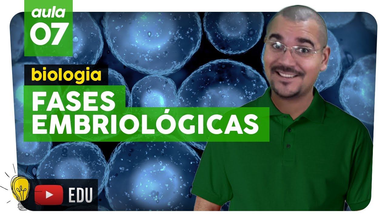 EMBRIOLOGIA: Mórula, Blástula, Gástrula e Nêurula | Biologia - aula #7 | Extensivo Enem 2019 смотреть онлайн