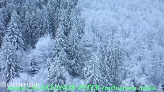 ХИТЫ2024 ❤ Все Звёзды и Все Хиты в Одном Большом Сборнике #shortsvideo #музыка смотреть онлайн