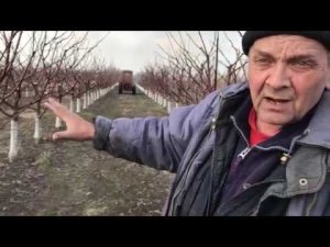 Весенняя обработка Интенсивного сада