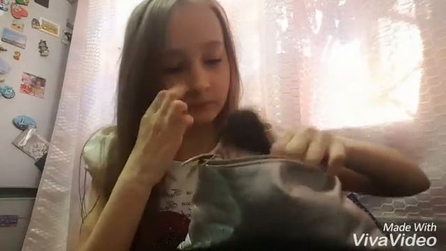 ТИПЫ ЛЮДЕЙ\\ТИПЫ ЛЮДЕЙ ВО ВРЕМЯ ПЕРЕМЕНЫ
