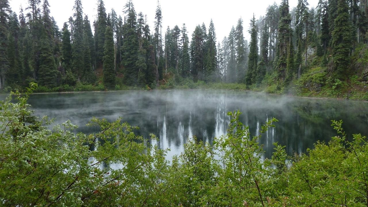 трансляци Dota2 играю как умею)have817-------go1,500ММР-------) (16+ осторожно возможны маты .) смотреть онлайн