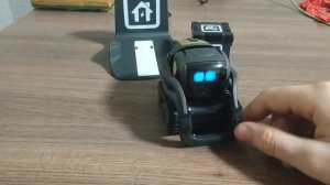 Обзор на anki Vector