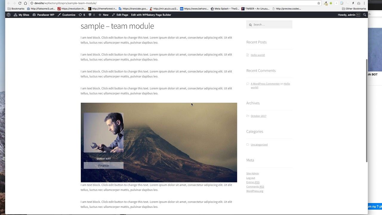 Parallax Wordpress Visual Composer - Team module instructions смотреть онлайн