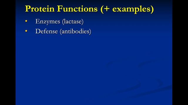 Structure and Function of Biological Macromolecules Lecture Video смотреть онлайн