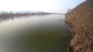 Взял трофея на 7кг(Охота с рогаткой)(рыбалка с рогаткой)