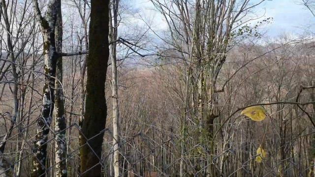 Сочи - Илларионовка 🚩 БОЛЬШОЙ участок в ПОДАРОК 🎁 Цена дома в ролике 📺 #сочибезводы #жизньсочи смотреть онлайн