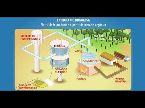Energia e Biomassa смотреть онлайн