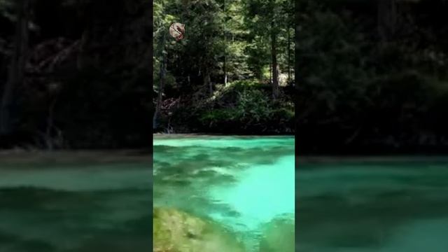 Звуки Реки Для Сна Или Отдыха #relax #relaxingsounds #forest #shots смотреть онлайн