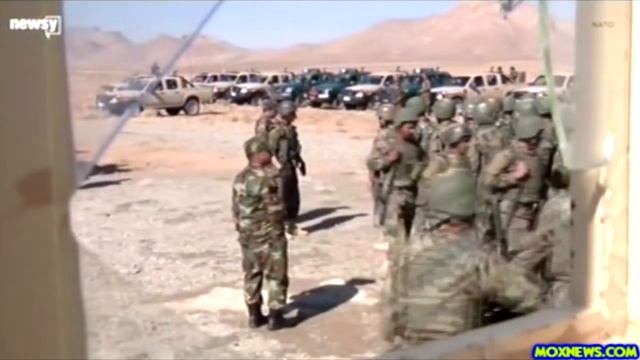 Report Says Pentagon Has Reached Peace Deal With Taliban In Afghanistan! смотреть онлайн