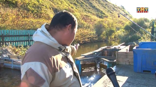 Началась закладка икры смотреть онлайн