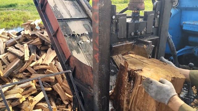 Раскалываем Большие Дубы Дровоколом Дракон. смотреть онлайн