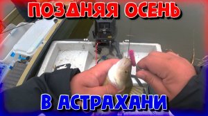 Поздняя осень в Астрахани. Рыбалка в ноябре на нижней волге. Камызякский район, п. Кировский.