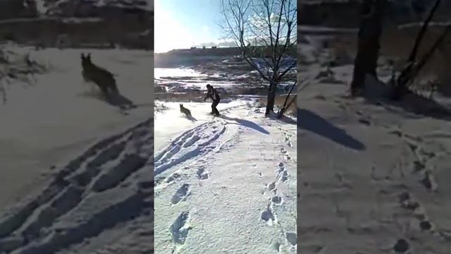 29 марта 2022 г. смотреть онлайн