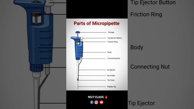Parts Of Micropipette 💥 #trending #viral #lab #dmlt #bmlt #micropipette #pipette #laboratory #mlt смотреть онлайн