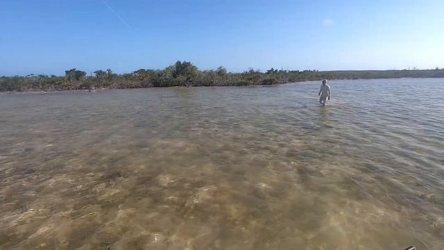 2020-03-03 -- Cayo Cruz, Cuba -- Bonefish into the backing on an 8 weight смотреть онлайн