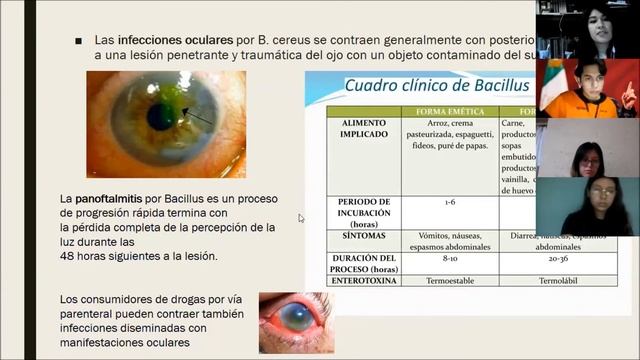 Bacillus cereus смотреть онлайн