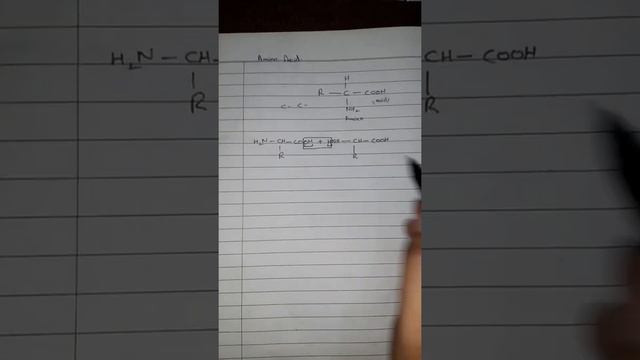 10th Chemistry, Biochemistry, CH# 13, Protein, Amino Acids, Building block of Proteins смотреть онлайн