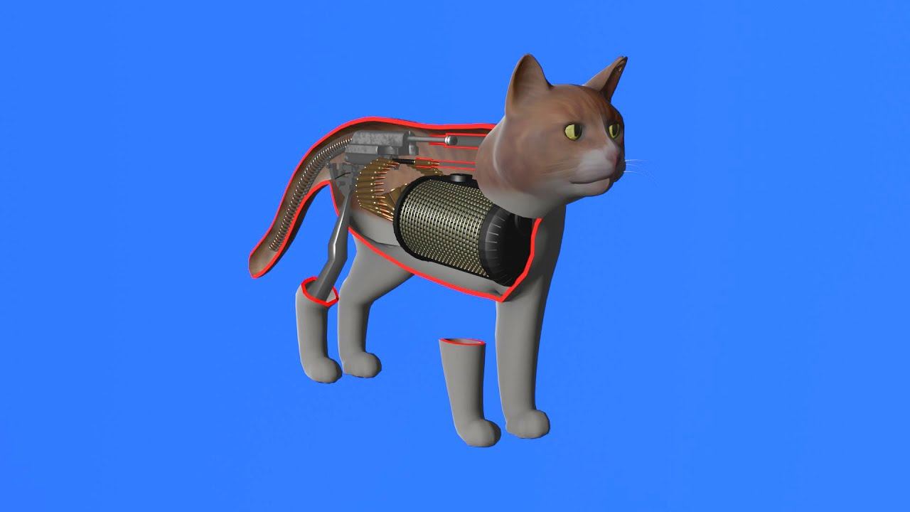 How a cat works смотреть онлайн