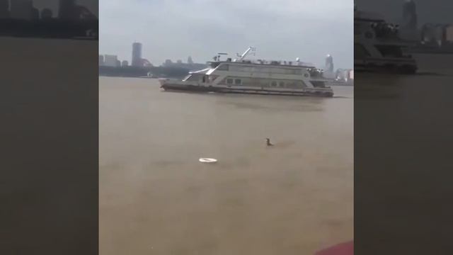 Спасательный круг смотреть онлайн