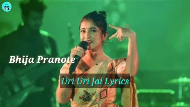 Uri Uri Jai Lyrics by Deeplina Deka | Assamese Song Lyrics | D Music Site смотреть онлайн