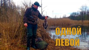 Охота на СЕЛЕЗНЯ. Стреляю с левой руки