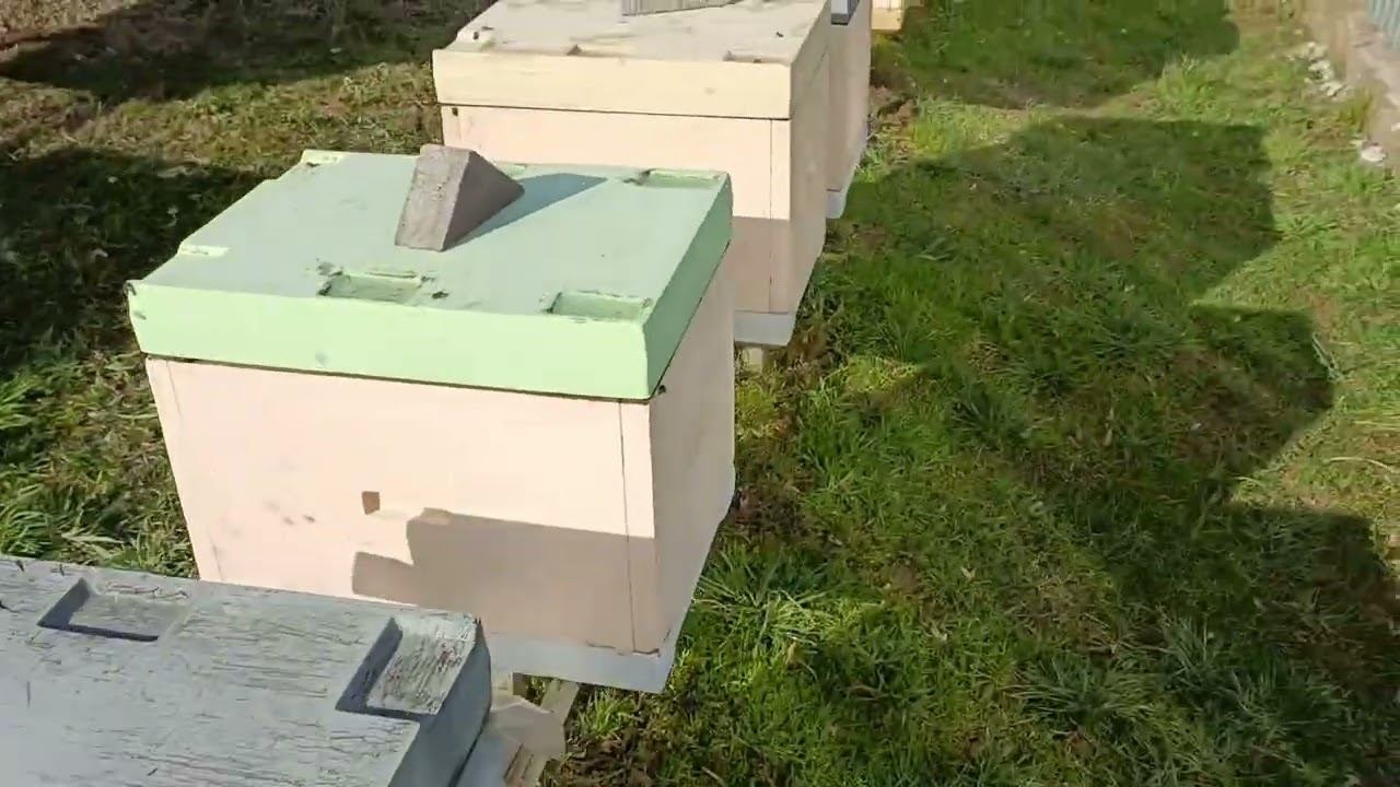 Початок сезону 22.02.2023 смотреть онлайн