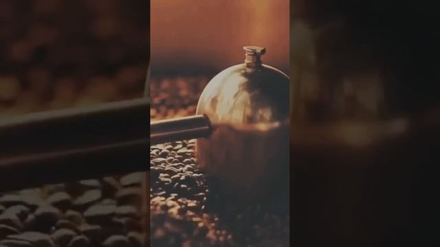 Java Burn Coffee: Boost Your Metabolism & Energy!#28 #bollywood #reverb #punjabisong #johnfontanill смотреть онлайн