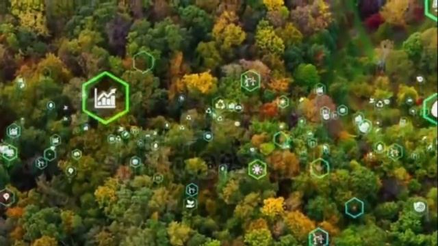 manfaat asam amino bagi tanaman смотреть онлайн