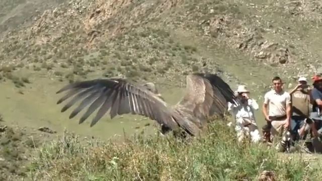 Парандаи Калонтарин смотреть онлайн