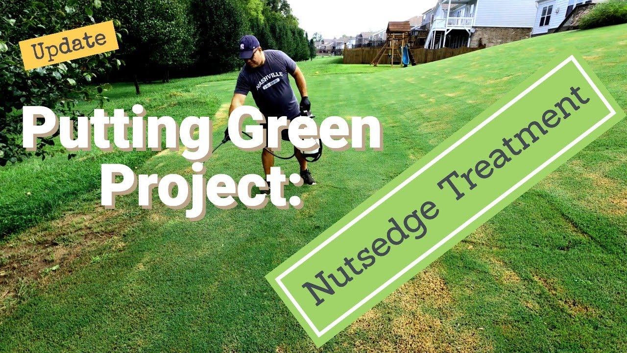 PUTTING GREEN PROJECT // Update Leveling and Nutsedge Treatment with SedgeHammer+ смотреть онлайн