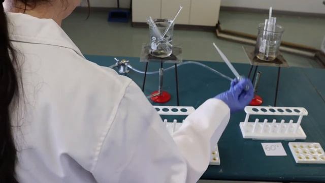 The Effect of Temperature on Enzyme Activity Experiment смотреть онлайн
