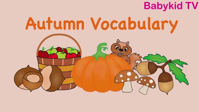 Autumn Vocabulary / Autumn Flashcards / Autumn Words