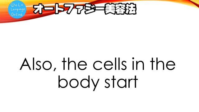英文速読トレーニング！サイトトランスレーションで美容健康情報GET!「オートファジーで痩せる？！」 смотреть онлайн