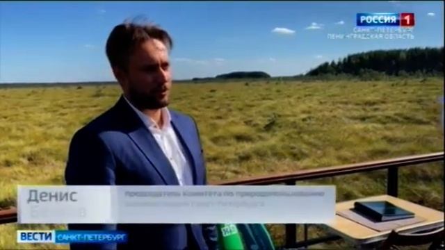 Сестрорецкое болото. Экотропа смотреть онлайн