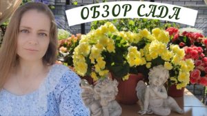 ОБЗОР САДА 17 АВГУСТА 2023 ГОДА.