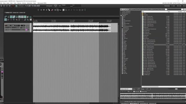 Cockos Reaper Tap Tempo