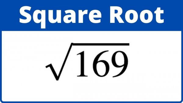 Square Root 169