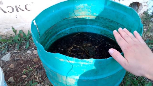 Подкормка для овощей смотреть онлайн