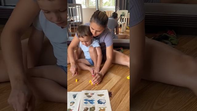 Учим единственное и множественное число смотреть онлайн