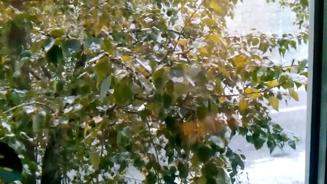 Первый снег в Ижевске смотреть онлайн