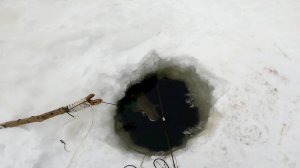 Рыбалка у чёрной дыры. Ловля налима. Тридцать первая серия.