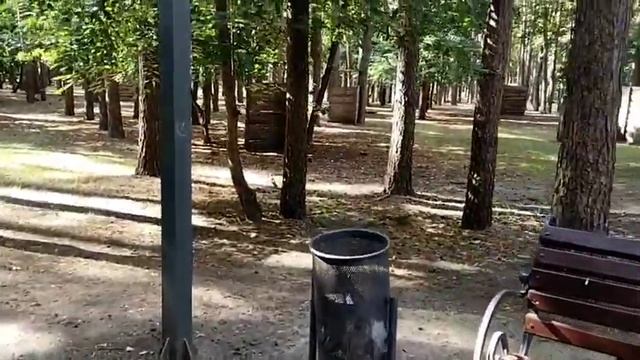 squirrel 🐿️🐿️🐿️ found nut 🥜 смотреть онлайн