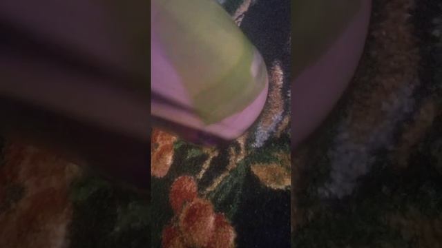Putting a Bible in Acetone for 54 days смотреть онлайн
