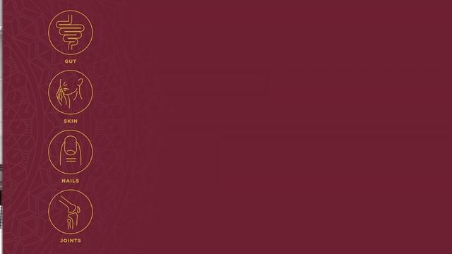 Multi Collagen Capsules for Gut Support, Joint Support and Skin Support | Ancient Nutrition смотреть онлайн