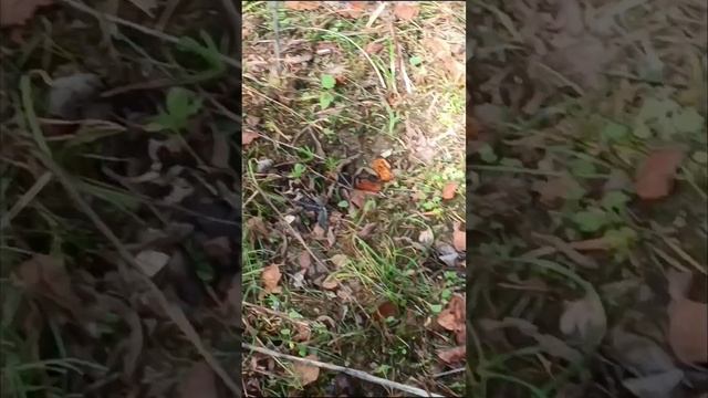 Русская смекалка и копеечные реновации 😉 смотреть онлайн